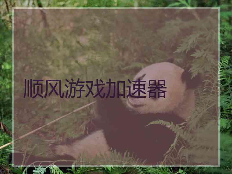 顺风游戏加速器