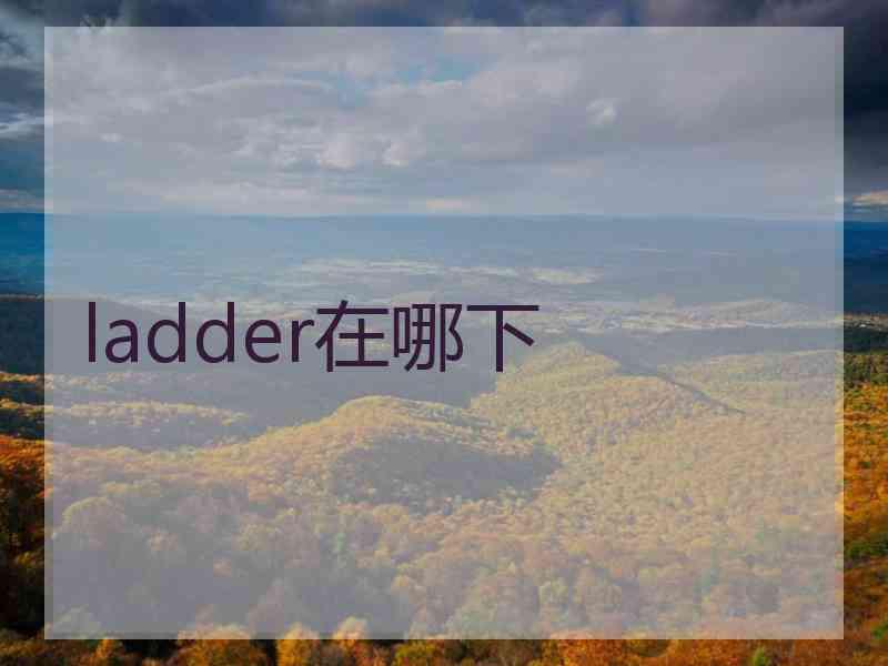 ladder在哪下