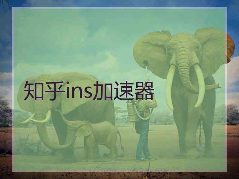 知乎ins加速器