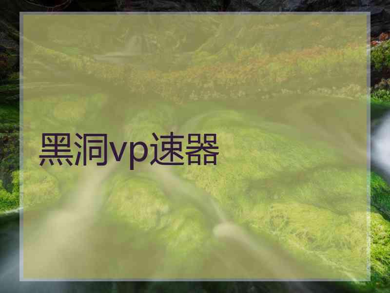 黑洞vp速器