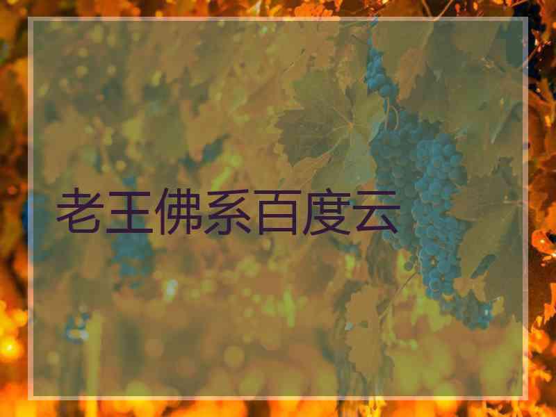 老王佛系百度云