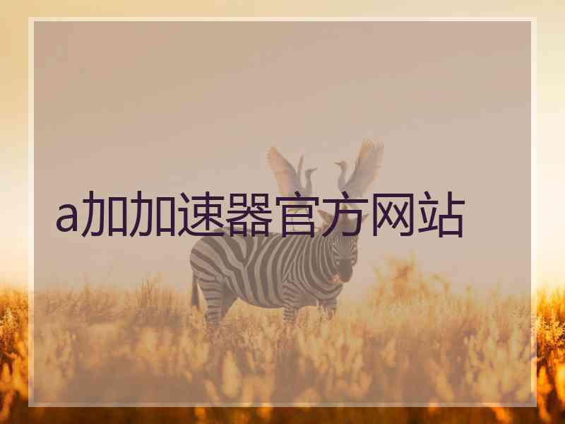 a加加速器官方网站