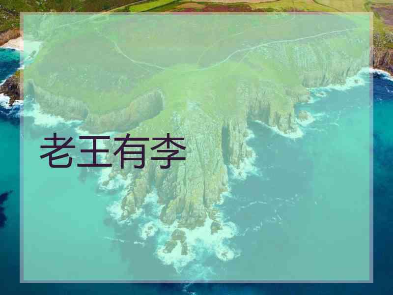 老王有李
