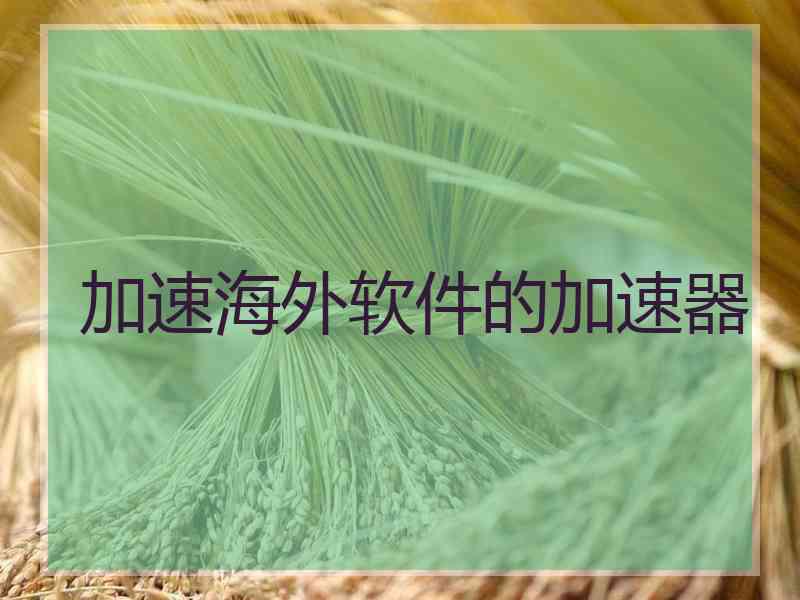 加速海外软件的加速器