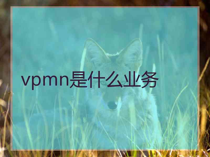 vpmn是什么业务