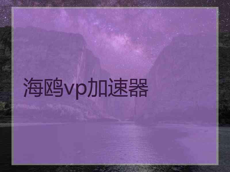 海鸥vp加速器