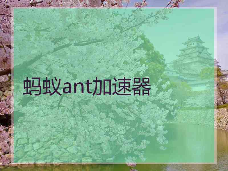 蚂蚁ant加速器