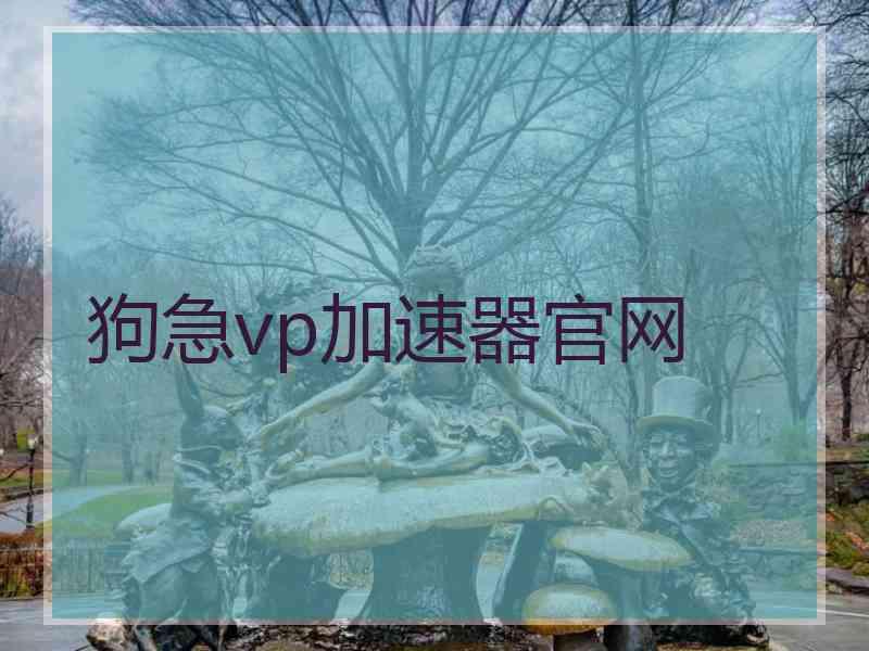狗急vp加速器官网