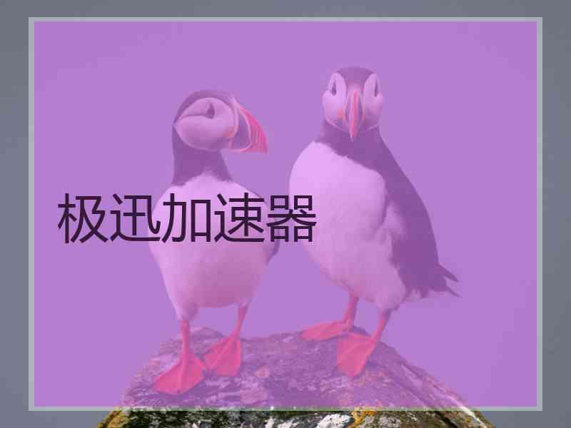 极迅加速器