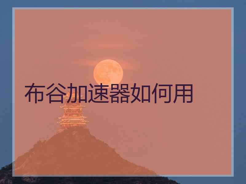 布谷加速器如何用