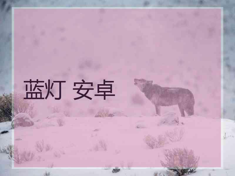 蓝灯 安卓