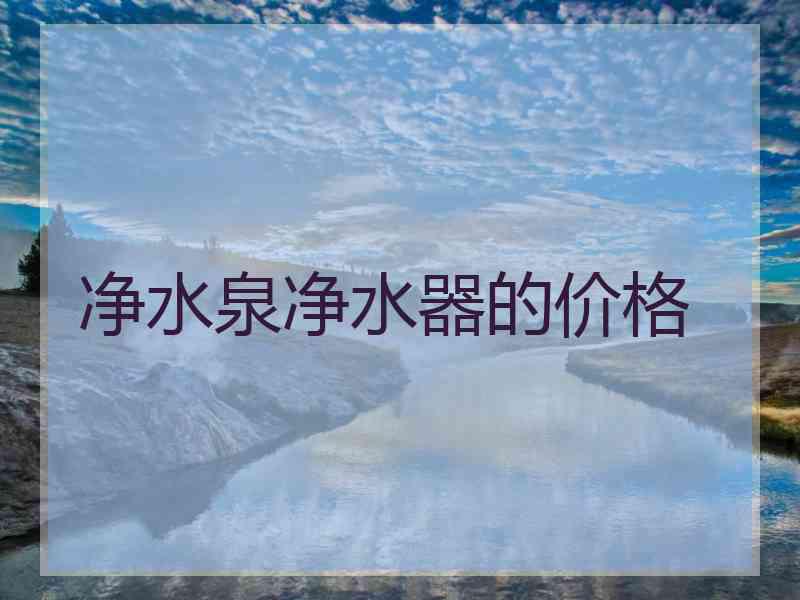 净水泉净水器的价格