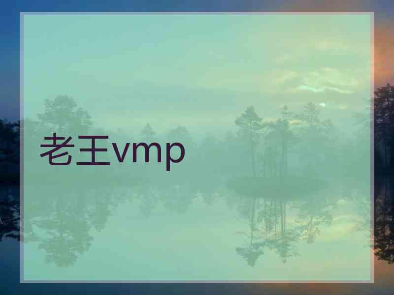 老王vmp