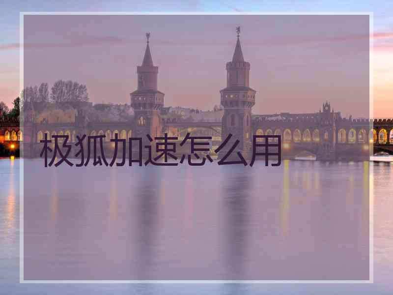 极狐加速怎么用