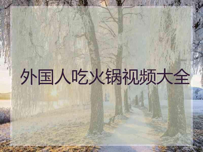 外国人吃火锅视频大全