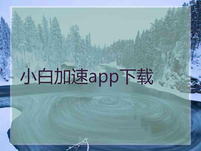 小白加速app下载