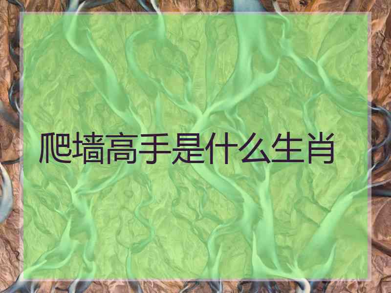 爬墙高手是什么生肖