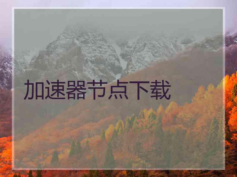 加速器节点下载