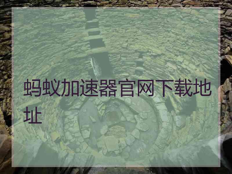 蚂蚁加速器官网下载地址