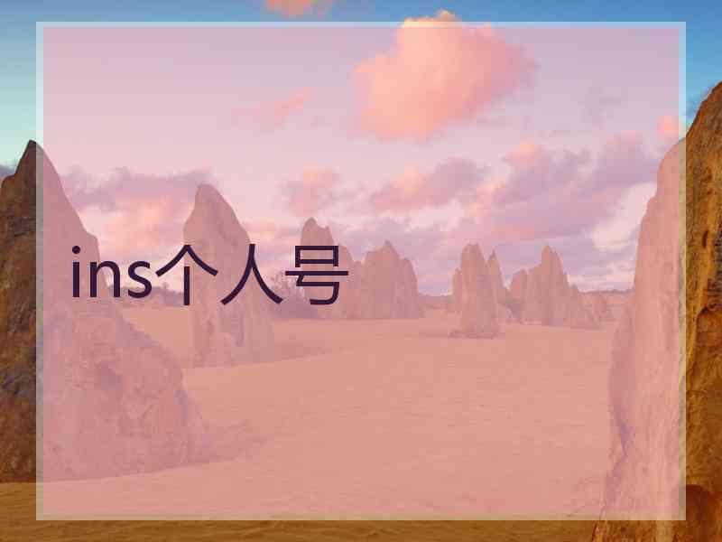 ins个人号