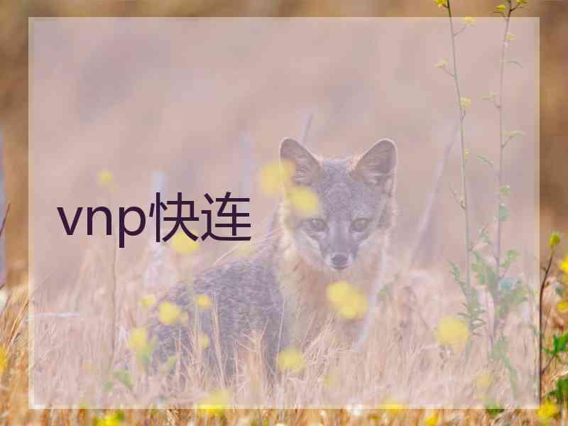 vnp快连