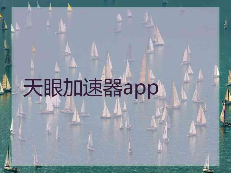 天眼加速器app