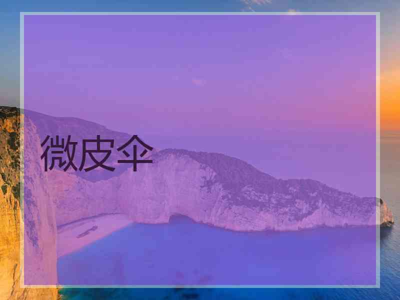 微皮伞
