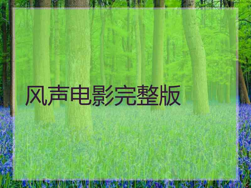风声电影完整版