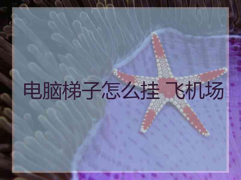 电脑梯子怎么挂 飞机场