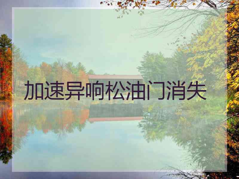 加速异响松油门消失