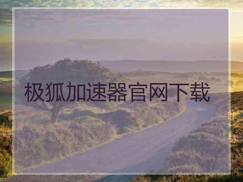 极狐加速器官网下载