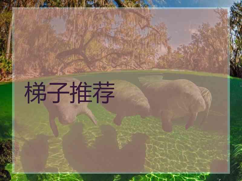 梯子推荐