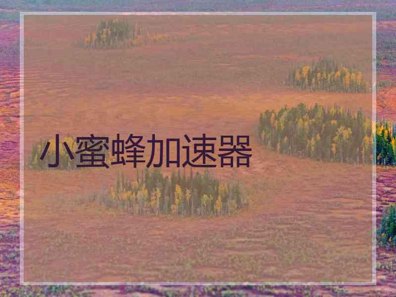 小蜜蜂加速器
