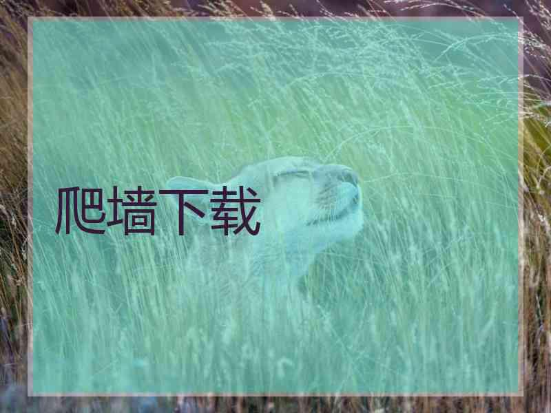 爬墙下载