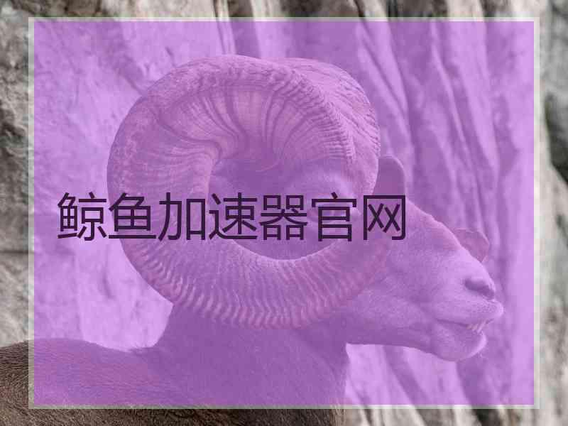 鲸鱼加速器官网