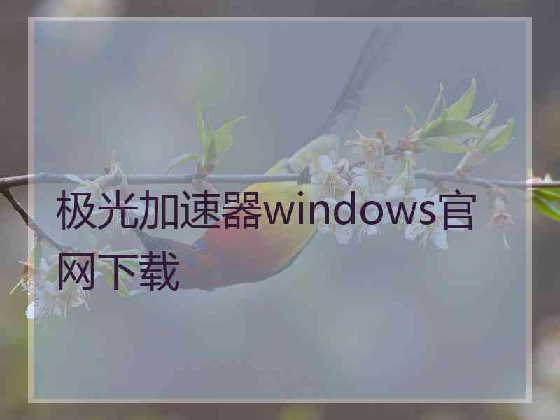 极光加速器windows官网下载