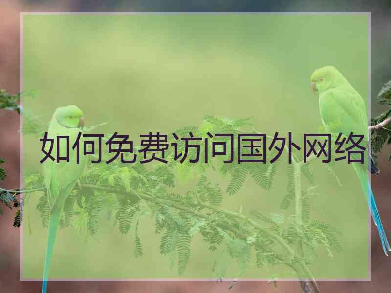 如何免费访问国外网络
