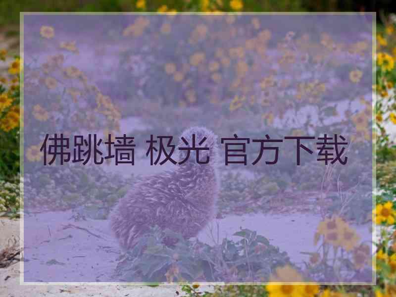 佛跳墙 极光 官方下载