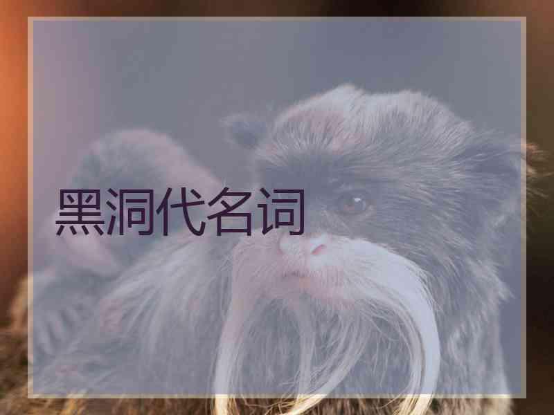 黑洞代名词