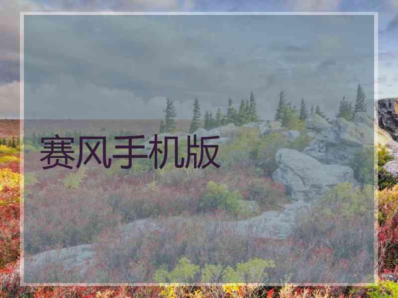 赛风手机版