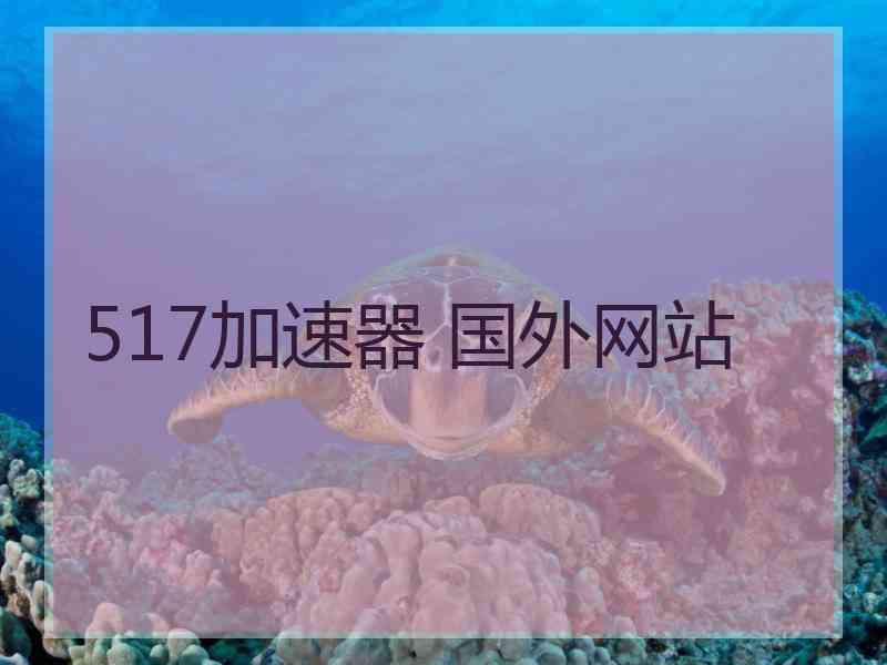 517加速器 国外网站