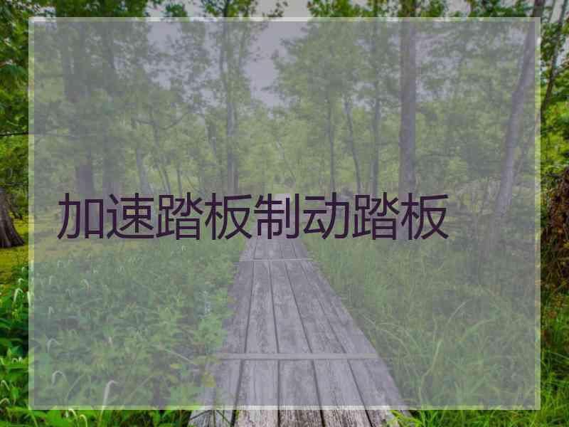 加速踏板制动踏板