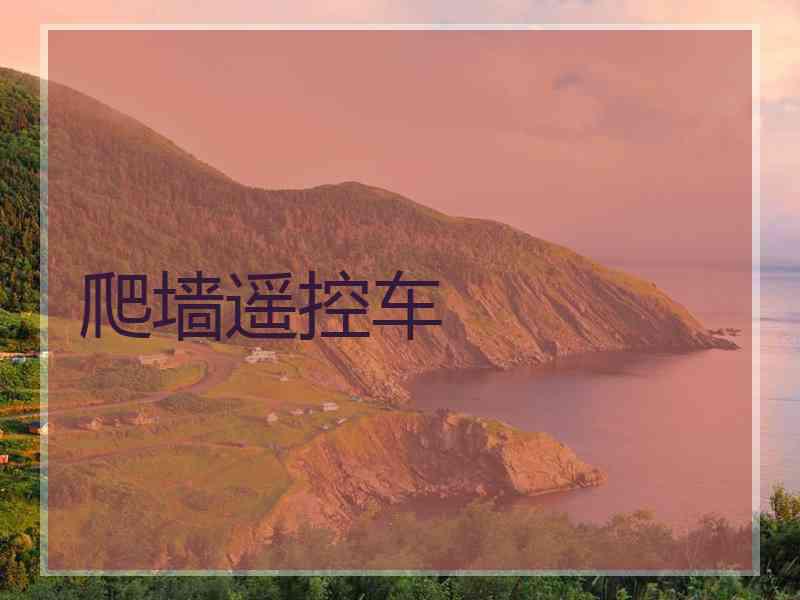 爬墙遥控车