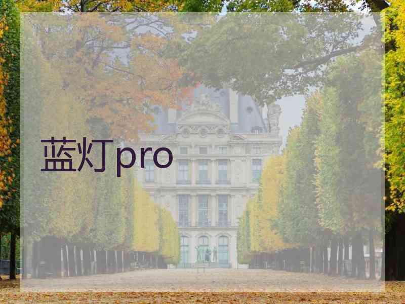 蓝灯pro