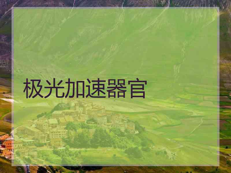 极光加速器官