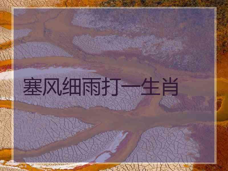 塞风细雨打一生肖