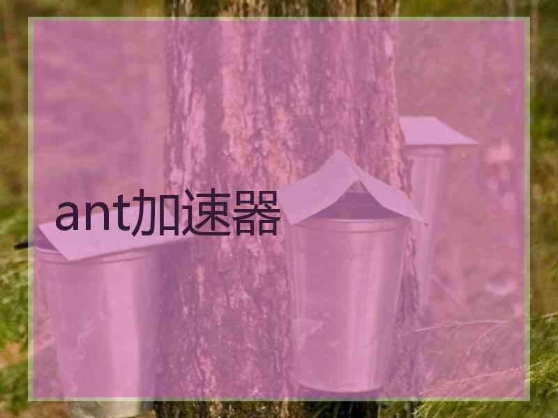 ant加速器