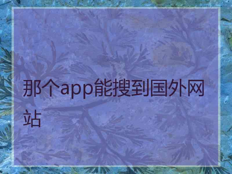 那个app能搜到国外网站