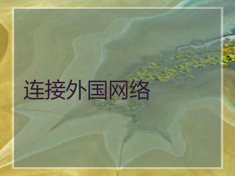 连接外国网络