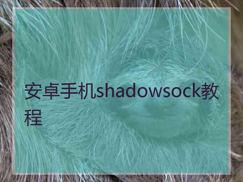 安卓手机shadowsock教程